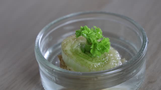 Celery growing in glass jar from kitchen scraps