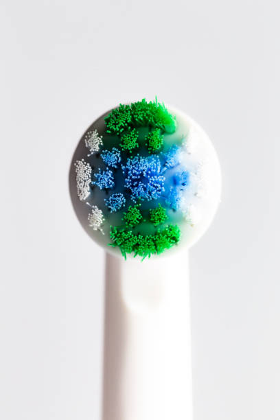 Free Stock Photo of A close up of a toothbrush | Download Free Images ...