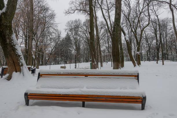 Bench in winter in Mariinsky Park in Kiev