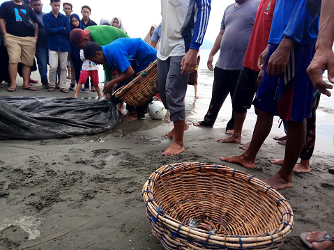 On 11/02/2018, in Banda Aceh, fishermen from Kampung Jawa select their catch. Their expertise in choosing fish reflects the sustainable traditional life on the coast