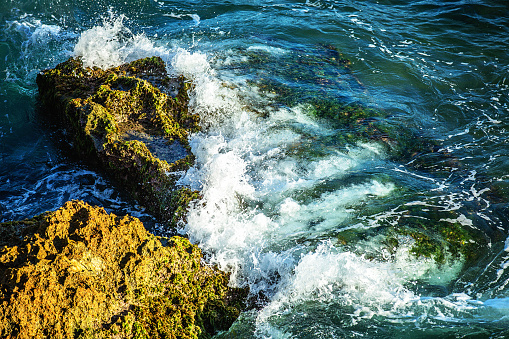 Ocean wave crashes rock coast with midair surf spray.  Pacific Grove, California, 2008.