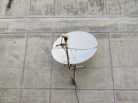 Small sparrow on a TV antenna against a concrete wall