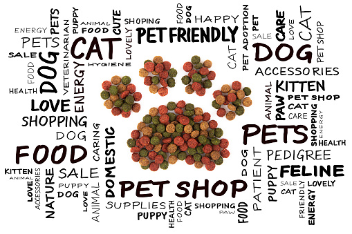 Paw made of Dry Pet Food and pet concept word cloud isolated on white background