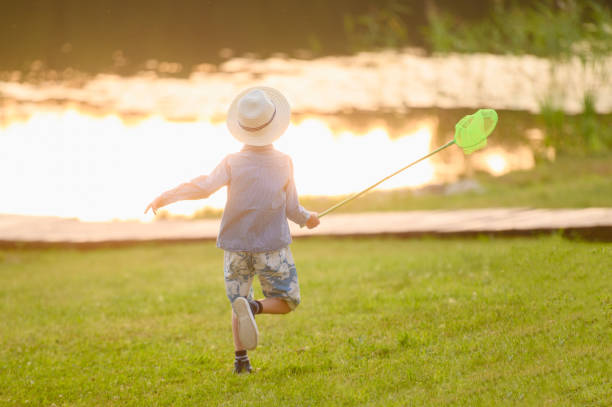 мальчик в шляпе на закате играет с сачком на открытом воздухе в летний �день. летние мероприятия на свежем воздухе для детей. - catching butterfly netting summer стоковые фото и изображения