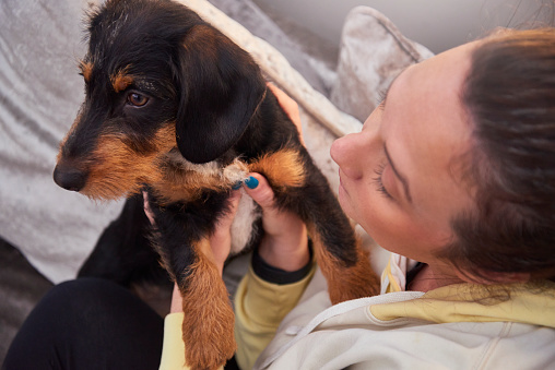 Woman bonding with her puppy