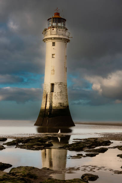 istock Liverpool Lighthouse and Seagull 2002654226