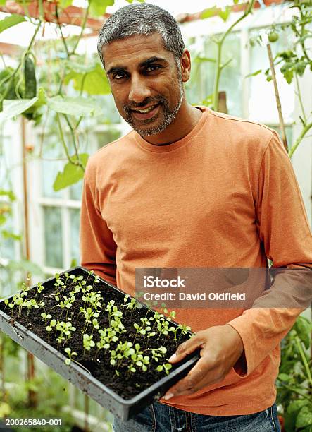 成熟した男性の保持 Seedlings 温室笑顔ポートレート - 1人のストックフォトや画像を多数ご用意 - 1人, 40-44歳, あごヒゲ