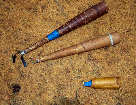 Pipes or decoys made of birch bark for hunting Siberian red deer on forest floor made of fallen larch needles. Homemade acoustic instruments for luring wild deer during the rut in the taiga.