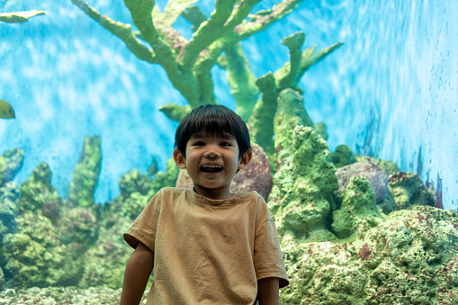 Asian boy standing pointing at aquarium background