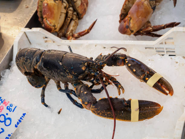 istock Lobster on a fish market in Athens, Greece 2002722407