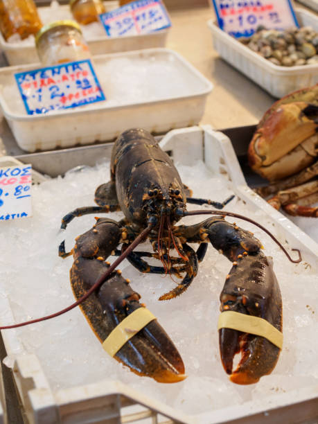 istock Lobster on a fish market in Athens, Greece 2002722442