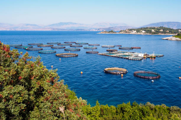 istock Fish farms at Corfu island, Greece 2002722451