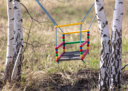 Wooden swing in the park on a background of birch trees.