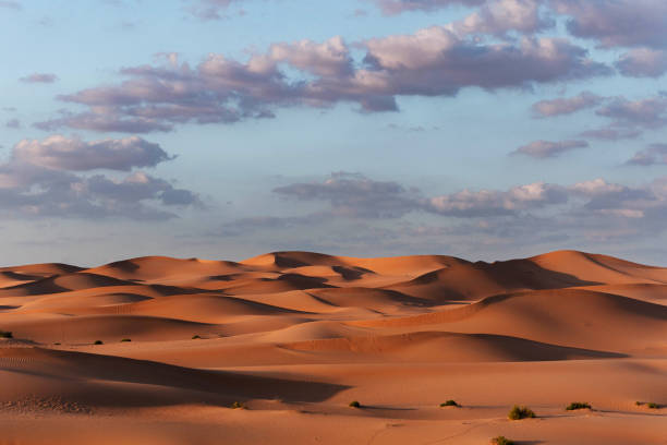 istock Sand dunes in late afternoon 2002769012
