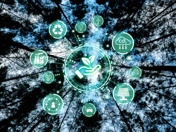 istock Green energy development, eco environment, save the world, sustainability concepts. Ecology icon surrounded with renewable energy symbol in circular on tall trees forest background, bottom view. 2002775498