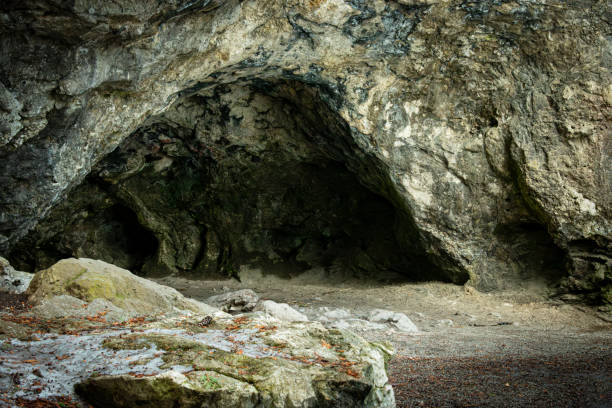 Caves at Rockwood conservation area