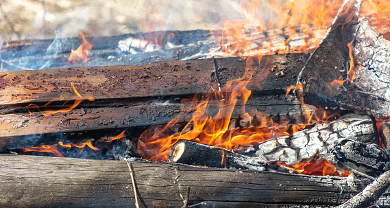 Burning firewood in a campfire close-up. Background