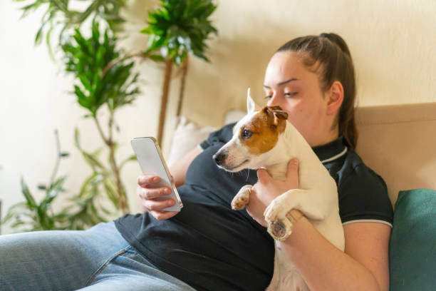 istock Young woman is using her phone while holding her dog 2002877993