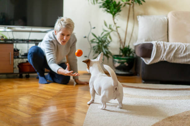istock A woman is playing with her dog at home 2002879052