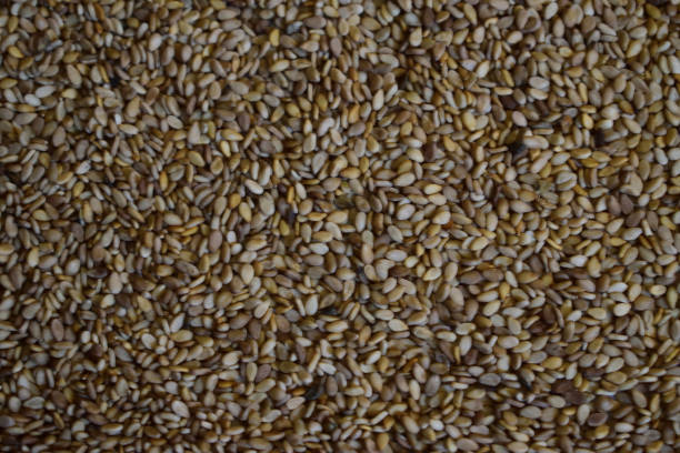 sesame seed background. - sesame plant africa agriculture imagens e fotografias de stock