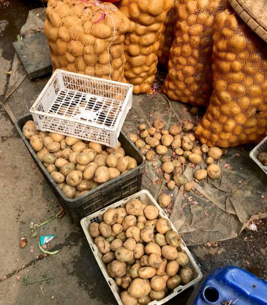 istock Pile of potatoes 2002906747