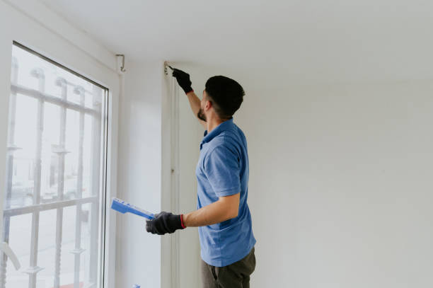 istock A young oriental man paints a wall with a brush. 2002907268
