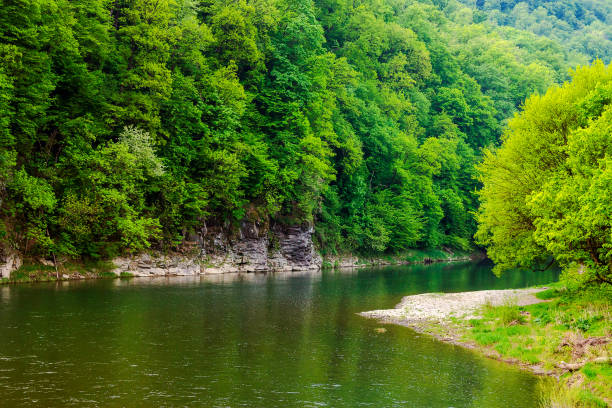 istock landscape of a green valley with river in spring 2002931817