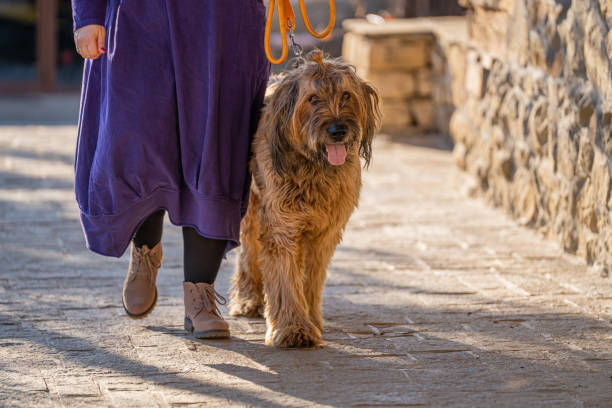 Woman walking outdoors with the dog