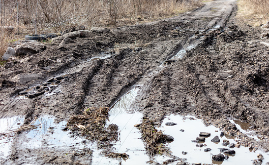Wheel tracks on muddy road after rain in spring forest. Landscape