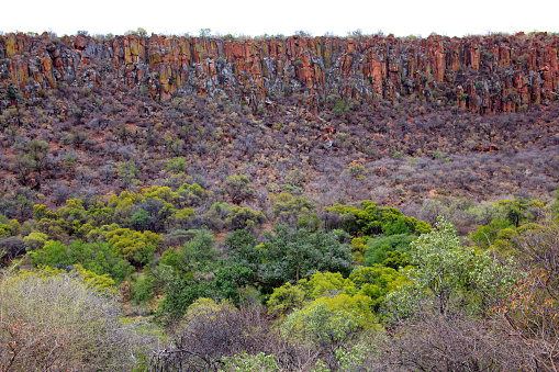 Fitzroy Crossing is a great base to explore Tunnel Creek National Park and Windjana Gorge National Park   the mountains are part of the King Leopold Ranges