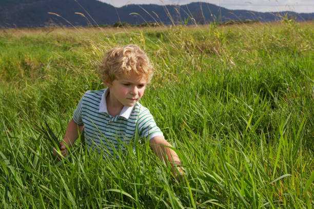 garçon (5 à 7 ans) de recueillir le fruit de longues herbe de prairie - little boys 6 7 years child standing photos et images de collection