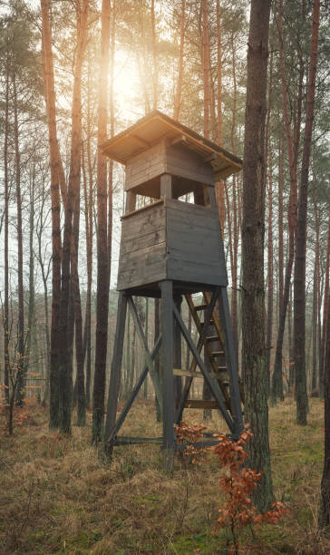 istock Photo of a deer hunting tower in a forest. 2003023593