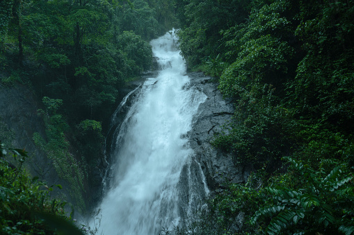 Dramatic waterfall with forest atmosphere , Beautiful waterfall from Kannur Kerala