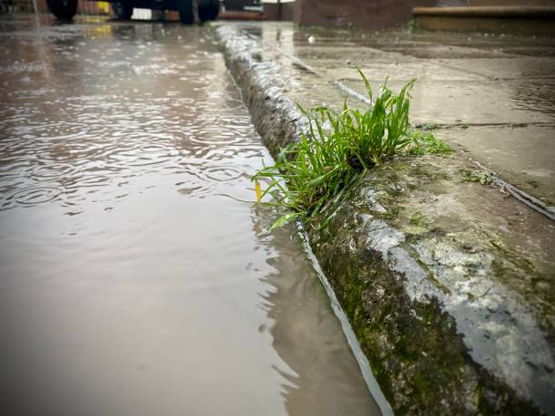 istock Puddle along old kerb stone with grass/weed reflecting. Close up. 2003061057