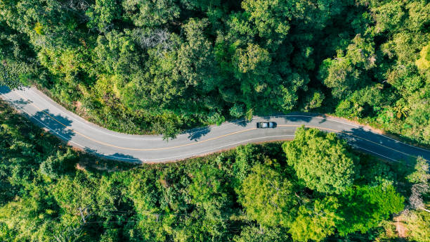 istock Aerial view green forest and asphalt road, Top view forest road going through forest with car adventure, Ecosystem ecology healthy environment road trip travel. 2003077219