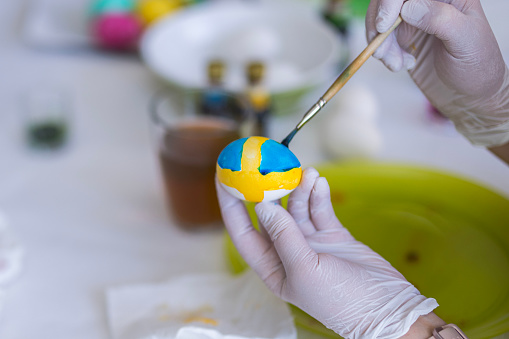 Close-up view of a person's hand in disposable gloves holding an Easter egg and coloring it in the colors of the Swedish national flag.