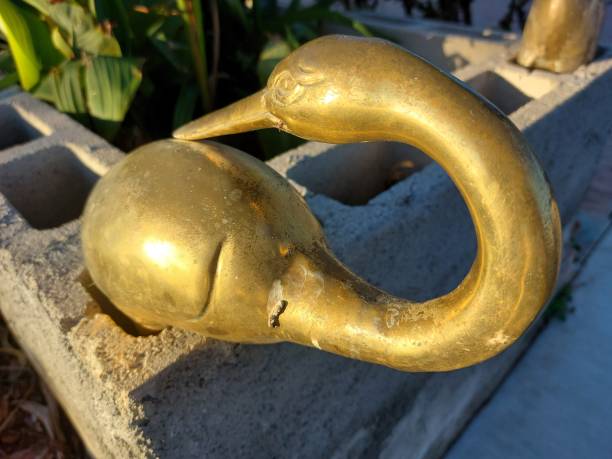 Spring Golden Garden Bird