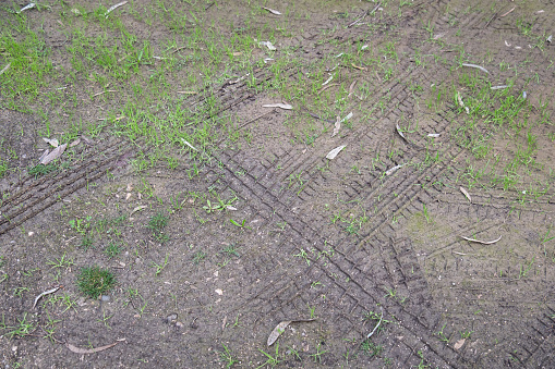 Tractor tyre tracks in beach sand