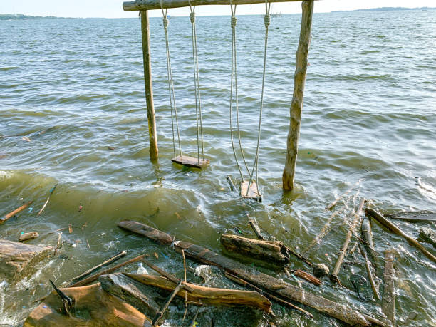 istock Wooden floating on the beach 2003168799