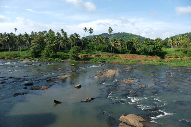 istock Beautiful Sri Lanka and the elephants view 2003199504