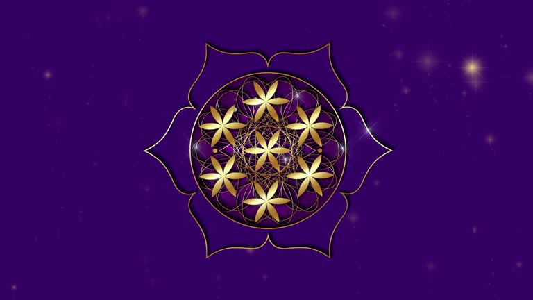 Video animation gold shiny Flower of Life in motion. Golden Lotus Sacred geometry in the moving galaxy, starry background. Model for TV show, intro, movie, stage design. Purple Background