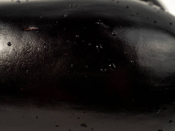 Eggplant on a white background.