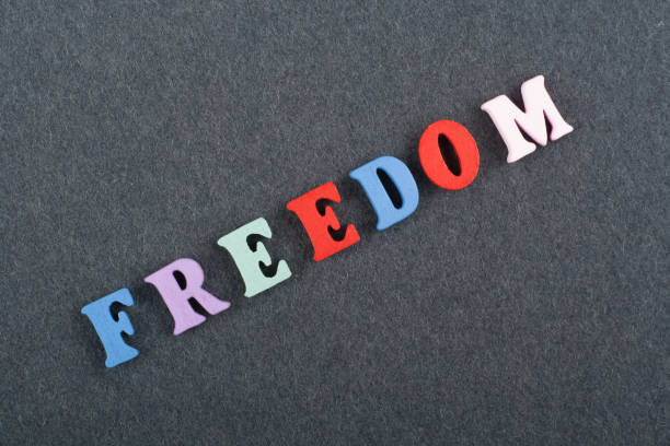 istock FREEDOM word on black board background composed from colorful abc alphabet block wooden letters, copy space for ad text. Learning english concept. 2003257926