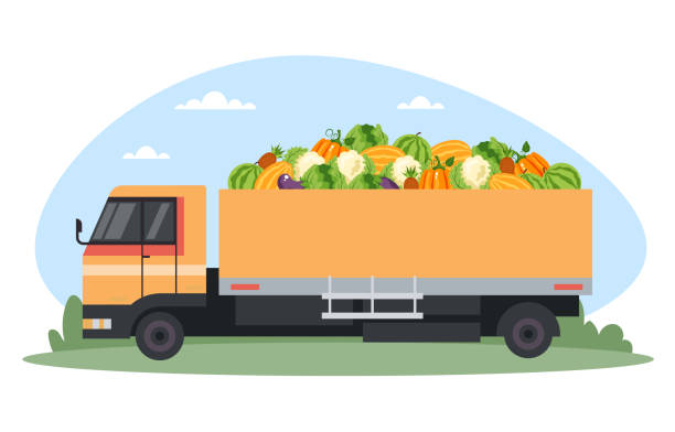 istock Car machine full of vegetables fruit. Farm agriculture summer time. Vector design flat graphic cartoon illustration 2003273244