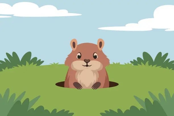 Vector illustration of A groundhog comes out of a hole on a green lawn. Illustration in vector format.