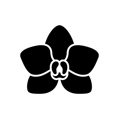 Orchid logo vector. Orchid flower. Floral symbol.