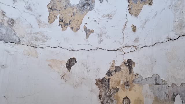 Mold colonies growth inside building