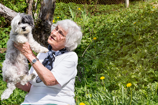 Happy senior woman hugging her havanese  pet dog in the summer