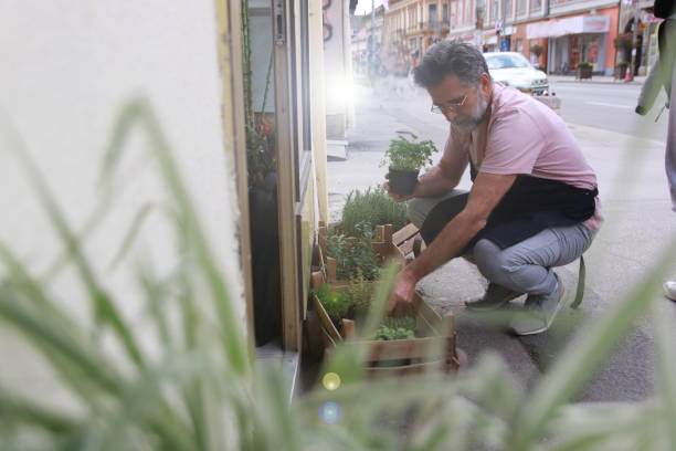 istock Worker in flower shop looking spicy plant 2003312693