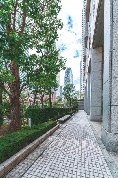 istock Empty footpath in office park, Shinjuku, Tokyo 2003316851